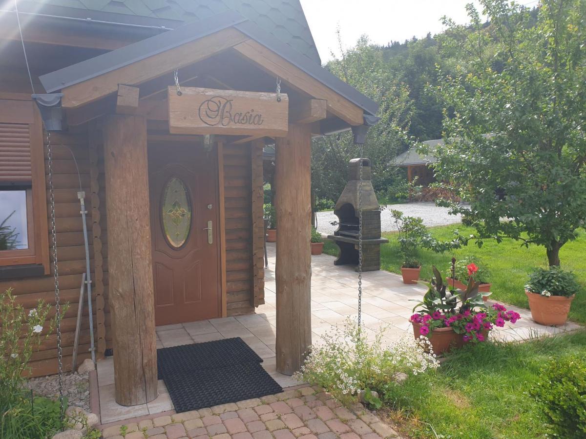 Sobieszow Apartament Basia Zielone Wzgorze -Willa Tosia Eksteriør billede